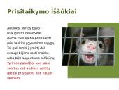 Europinės audinės (Mustela lutreola) (re)introdukcija Estijoje 4 puslapis