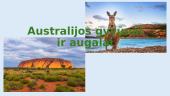 Australijos gyvūnai ir augalai