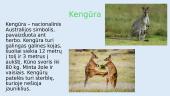 Australijos gyvūnai ir augalai 5 puslapis