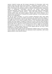 Teisės užduotis apie suėmimą 3 puslapis