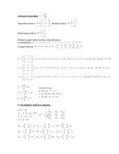 Matricos ir uždaviniai 3 puslapis