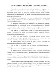 UAB ,,Maxima LT“ personalo valdymo sistemos analizė 8 puslapis