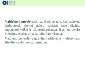 Vadybos funkcijos (kontrolė) 11 puslapis