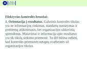 Vadybos funkcijos (kontrolė) 16 puslapis