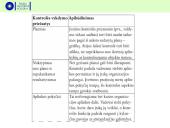 Vadybos funkcijos (kontrolė) 19 puslapis