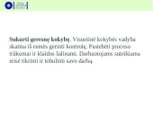 Vadybos funkcijos (kontrolė) 3 puslapis