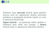 Vadybos funkcijos (kontrolė) 8 puslapis