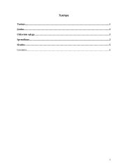 Optimalus gamybos planas