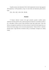 Optimalus gamybos planas 5 puslapis