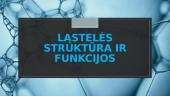 Skaidrės. Ląstelės struktūra ir funkcijos