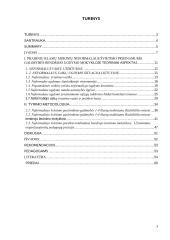 1-4 klasių mokinių neformalaus švietimo prieinamumo galimybės bendrojo ugdymo mokykloje 2 puslapis