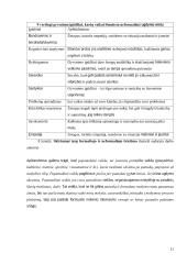 1-4 klasių mokinių neformalaus švietimo prieinamumo galimybės bendrojo ugdymo mokykloje 20 puslapis