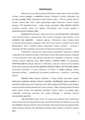 1-4 klasių mokinių neformalaus švietimo prieinamumo galimybės bendrojo ugdymo mokykloje 3 puslapis