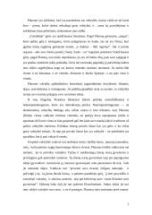 Platonas "Valstybė" analizė 5 puslapis