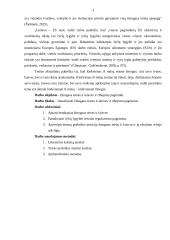  žmogaus teisės ir laisvės bei jų apsaugos ar ribojimo pagrindai 2 puslapis