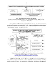  žmogaus teisės ir laisvės bei jų apsaugos ar ribojimo pagrindai 9 puslapis