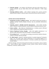 Lietuvos kalėjimų tarnybos interesų grupių analizė 6 puslapis