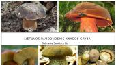 Lietuvos Raudonosios knygos grybai