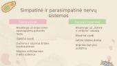 Skaidrės. Nervų sistema 7 puslapis