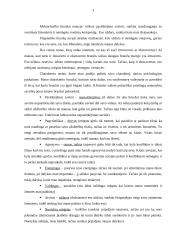 Mano kaip studento savianalizė 3 puslapis