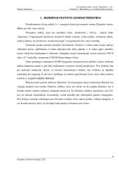 Gyvenamojo namo technologinis projektas 3 puslapis