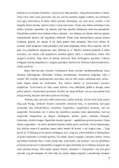 Savybių savianalizė 3 puslapis