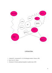 Savybių savianalizė 9 puslapis