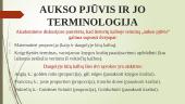 Aukso pjūvio taikymas  4 puslapis