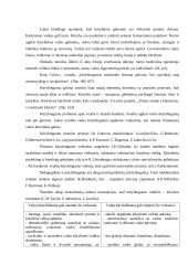 Šiandieninio 5-6 metų vaiko piešinių turinio formavimosi prielaidų apžvalga literatūros šaltiniuose 3 puslapis