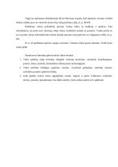 Šiandieninio 5-6 metų vaiko piešinių turinio formavimosi prielaidų apžvalga literatūros šaltiniuose 10 puslapis