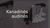 Kanadinės audinės 2 puslapis