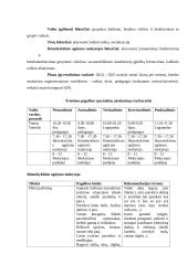 Individualaus pagalbos planas. Pedagogika 2 puslapis