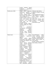 Individualaus pagalbos planas. Pedagogika 3 puslapis