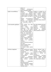 Individualaus pagalbos planas. Pedagogika 4 puslapis