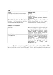 Individualaus pagalbos planas. Pedagogika 5 puslapis