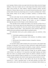 Sudėtinis bendravimas 3 puslapis