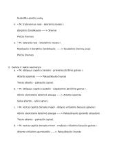 Raumenys. 10 veterinarijos kolis 3 puslapis