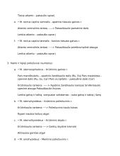 Raumenys. 10 veterinarijos kolis 4 puslapis