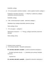 Raumenys. 10 veterinarijos kolis 7 puslapis