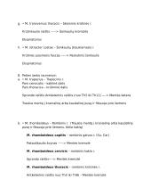 Raumenys. 10 veterinarijos kolis 9 puslapis