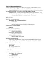 Histologija (epitelinis ir nervinis audinys) 3 puslapis