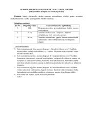 Raumenų jėgos ir darbo įvertinimas 3 puslapis