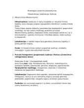 Histologija (hitostruktūra, lokalizacija, funkcija)