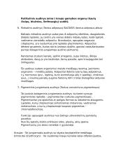 Histologija (hitostruktūra, lokalizacija, funkcija) 3 puslapis