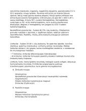 Histologija (hitostruktūra, lokalizacija, funkcija) 4 puslapis