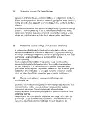 Histologija (hitostruktūra, lokalizacija, funkcija) 6 puslapis