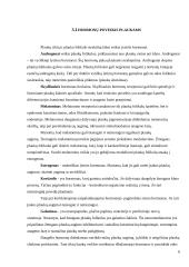 Sveikatos įtaka plaukų ir nagų būklei 5 puslapis