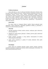 Referatas – dirbtinio intelekto pagalba projektuojant galios elektronikos sistemas 2 puslapis