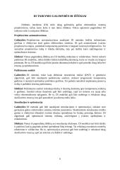 Referatas – dirbtinio intelekto pagalba projektuojant galios elektronikos sistemas 5 puslapis