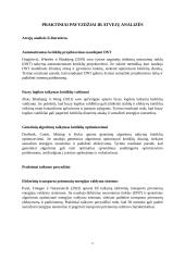 Referatas – dirbtinio intelekto pagalba projektuojant galios elektronikos sistemas 6 puslapis